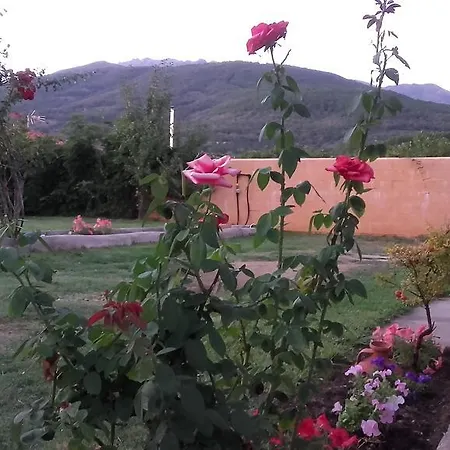 Casa vacanze El Carrascal De Tena Candeleda